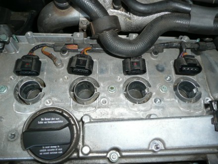 Octavia Motor